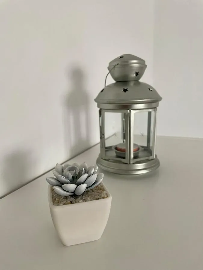 Apartamento El Jazmin 格拉茨莱马 西班牙